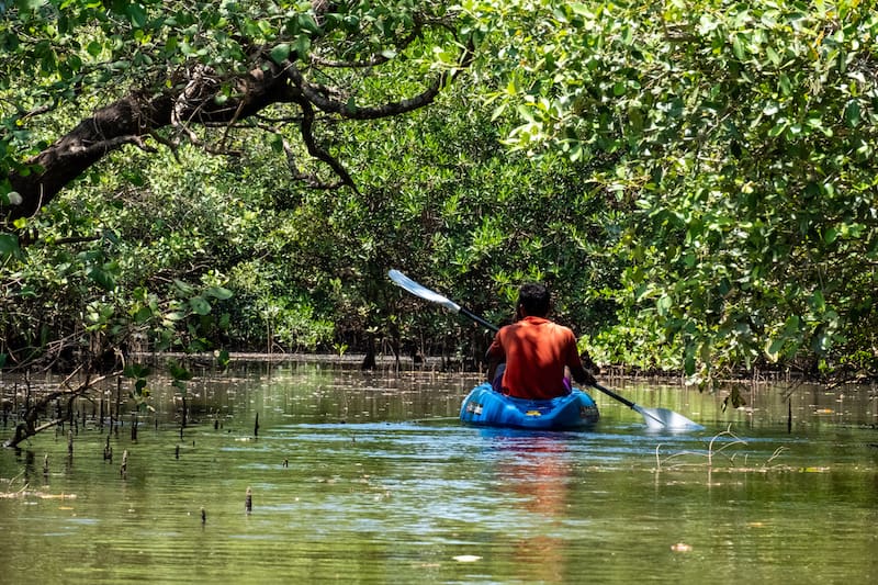 kayaking goa backwaters with Konkan Explorers