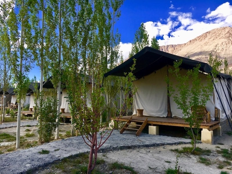 Tents at Nubra Ecolodge