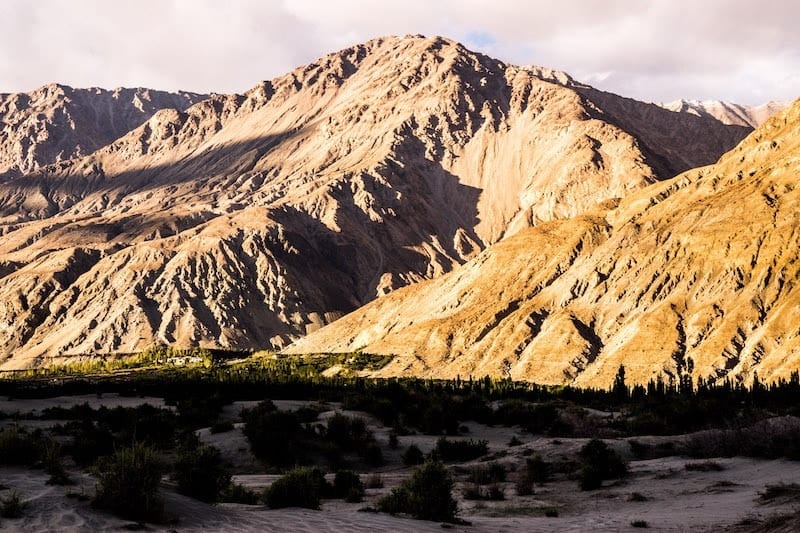 Views from Nubra Ecolodge