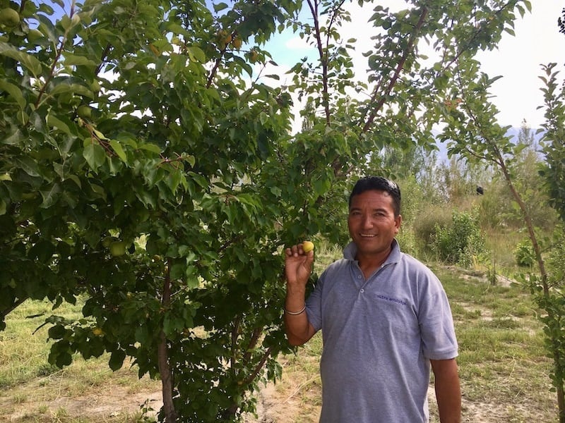 Nubra eco lodge and organic farm