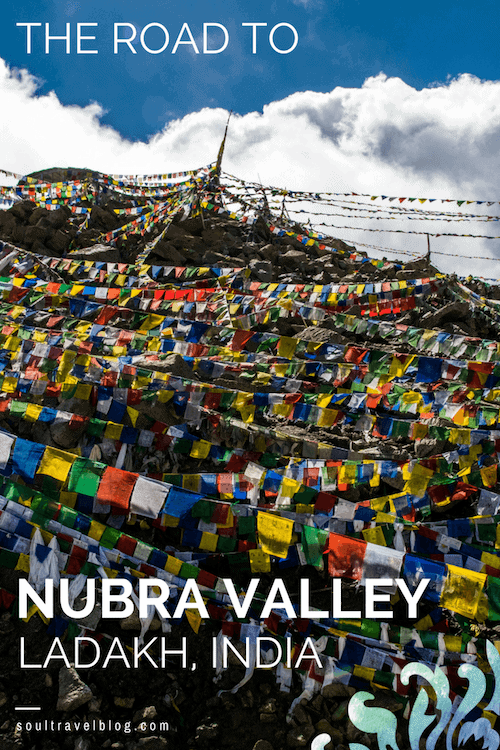 Want to travel to Ladakh? Looking for things to do in Nubra Valley, Ladakh, India? Here at the feet of the Indian Himalayas you'll find tips on where to stay, how to get to Sumur and more. Save this pins to one of your boards for later!