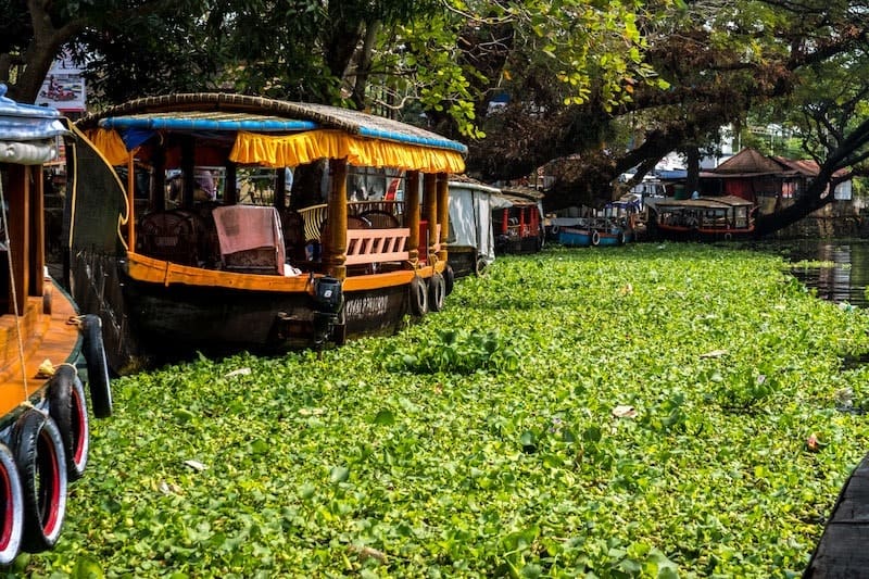 Responsible tourism in Alleppey