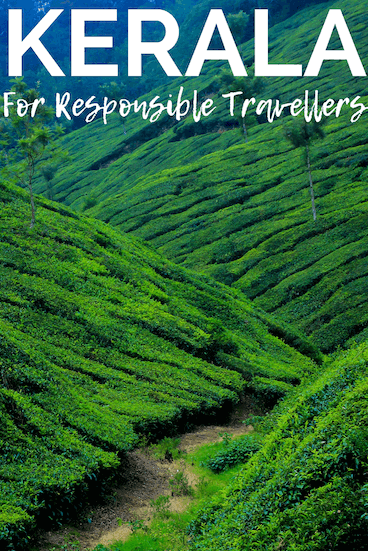 planning travel to kerala? Check our complete guide to Kerala for responsible travellers, including tips on how to get off the beaten path, how to travel the kerala backwaters, and how to get the most out of your trip! Pin this to one of your boards for later. #kerala #keralatravel #travelguide #responsibletravel #kerala 