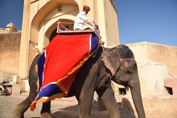 A guide to Ethical travel in Rajasthan