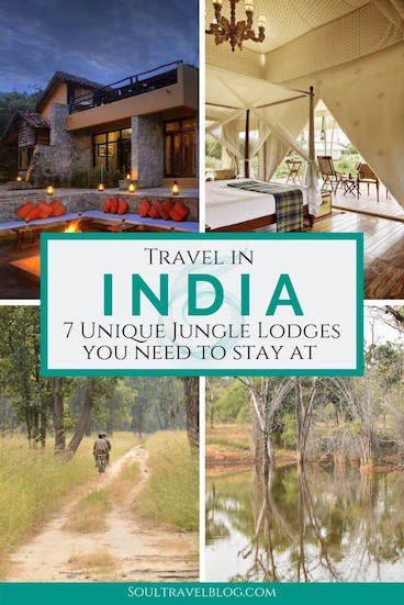 Planning travel in India? Check out these incredible jungle lodges in India - the perfect base for a safari in India, or getting back to nature! #incredibleindia #india #indiatravel #asiatravel