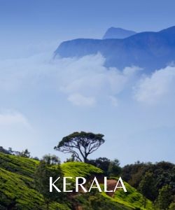 Kerala Travel Guide